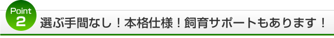 point2�����ּ�֤ʤ����ܳʻ��͡����饵�ݡ��Ȥ⤢��ޤ���