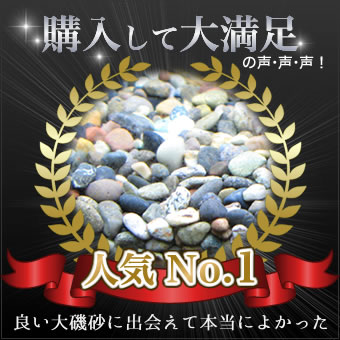 �͵�No.1 �����������뺽