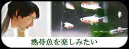 Ǯ�ӵ�