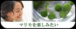 �ޥ��