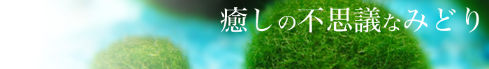 �ޥ�� ����