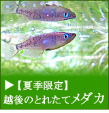 Ǯ�ӵ� ���� ����