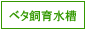 �٥��������