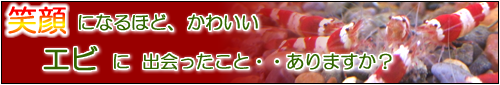 Ǯ�ӵ� ���� ����