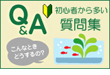 Ǯ�ӵ� ����
