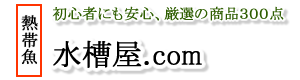 ���岰.com