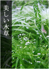 Ǯ�ӵ� ���� ����