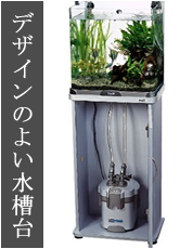Ǯ�ӵ� ���� 