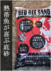 Ǯ�ӵ� ����