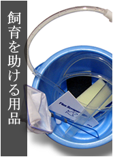 Ǯ�ӵ� ����