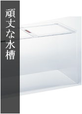 Ǯ�ӵ� ����