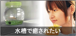 Ǯ�ӵ� ���� ���å�