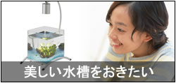 Ǯ�ӵ� ���� ���� ���å�