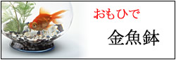 Ǯ�ӵ� ���� ����