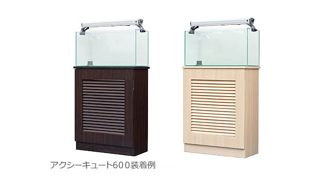 ¥¢¥¯¥¢¥·¥¹¥Æ¥à ¥¢¥¯¥·¡¼¥¥å¡¼¥È600