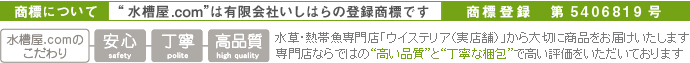 ���岰.com�Τ������