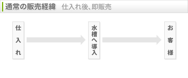通常の販売経緯　仕入れ後、即販売