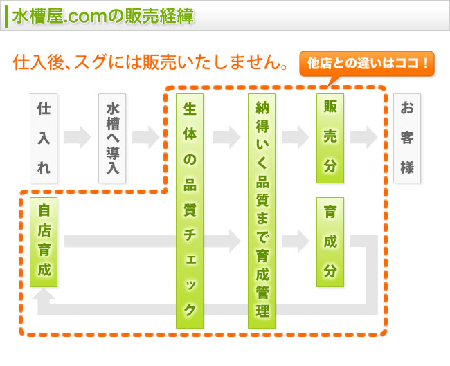 水槽屋.comの販売経緯　仕入後、スグに販売いたしません。