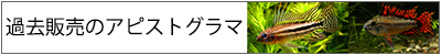 過去販売のアピスト